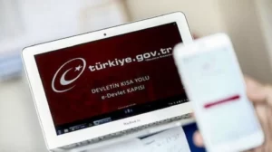 2025 Yılında Yeşil Kartlılara Verilen Tüm Yardımların Genel Görünümü