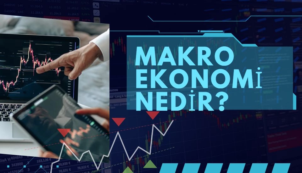 Mikro Ekonomi ve Makro Ekonomi Nedir?
