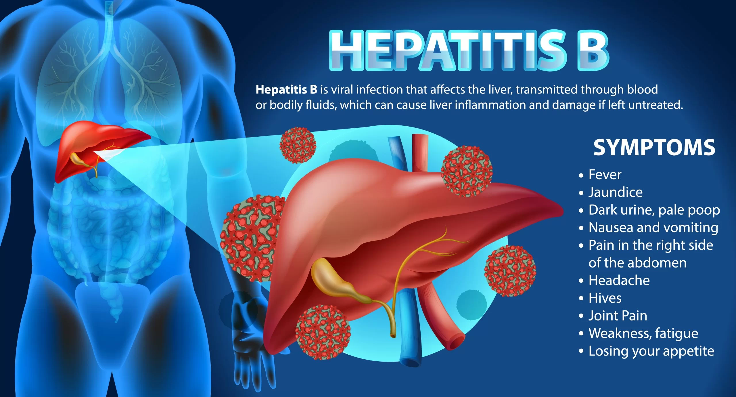 Hepatit B Nedir? Temel Bilgiler