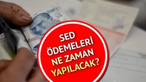 SED Yardımı Başvurusu ve Şartları